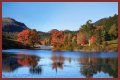 Best Fall Foliage Cruise Destinations