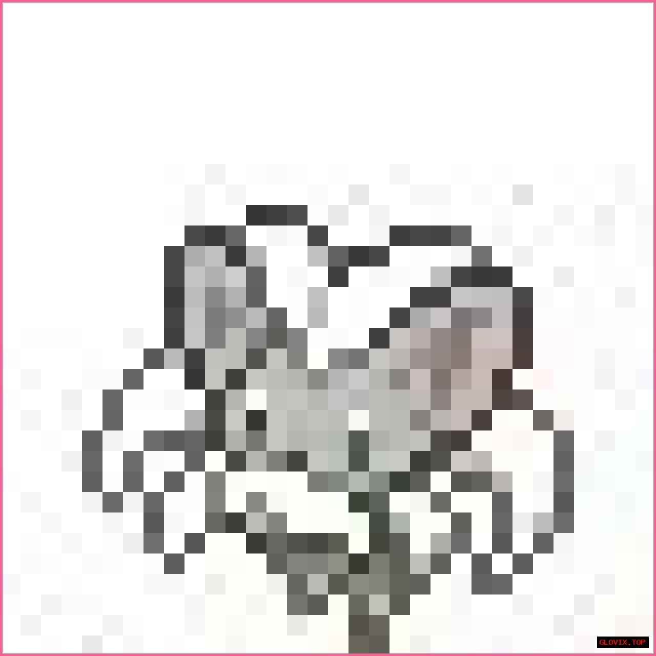 HTML