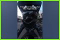 Night Rider Arrested, What Happened To Night Rider?