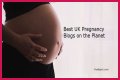 Pregnancy Blogs – Top Pregnancy Blogs and Websites